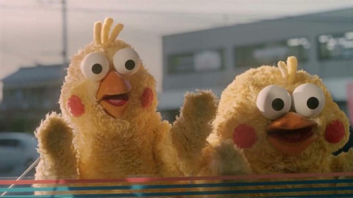 鹦鹉兄弟良心表情包 你的良心不会痛吗