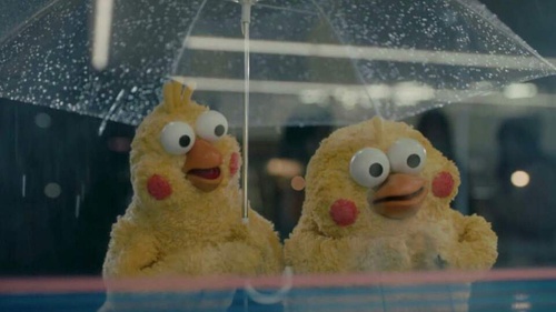 鹦鹉兄弟良心表情包 你的良心不会痛吗