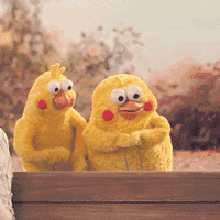 鹦鹉兄弟良心表情包 你的良心不会痛吗