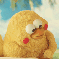 鹦鹉兄弟良心表情包 你的良心不会痛吗