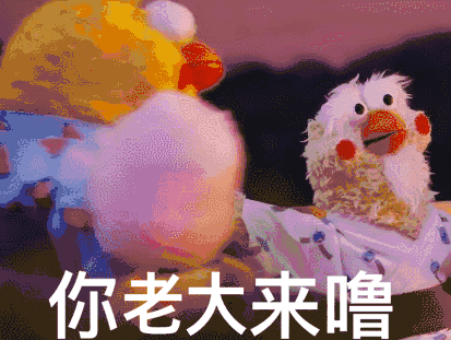 鹦鹉兄弟良心表情包 你的良心不会痛吗