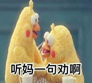 鹦鹉兄弟良心表情包 你的良心不会痛吗