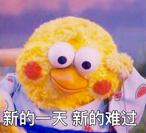 鹦鹉兄弟良心表情包 你的良心不会痛吗