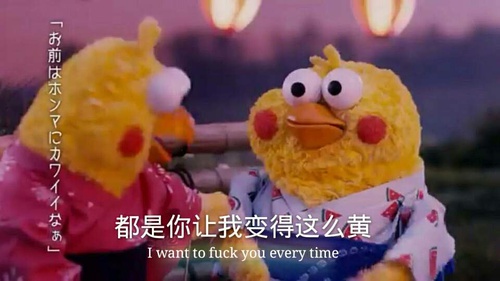 鹦鹉兄弟良心表情包 你的良心不会痛吗