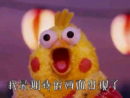 鹦鹉兄弟良心表情包 你的良心不会痛吗