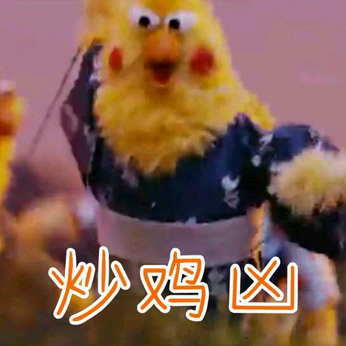 鹦鹉兄弟良心表情包 你的良心不会痛吗