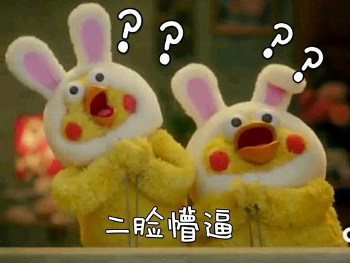 鹦鹉兄弟良心表情包 你的良心不会痛吗