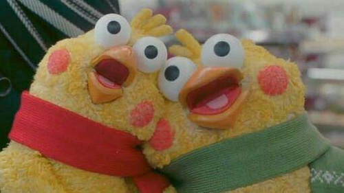 鹦鹉兄弟良心表情包 你的良心不会痛吗