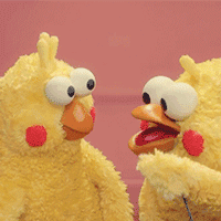 鹦鹉兄弟良心表情包 你的良心不会痛吗