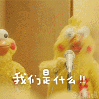 鹦鹉兄弟良心表情包 你的良心不会痛吗