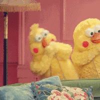 鹦鹉兄弟良心表情包 你的良心不会痛吗