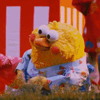 鹦鹉兄弟良心表情包 你的良心不会痛吗