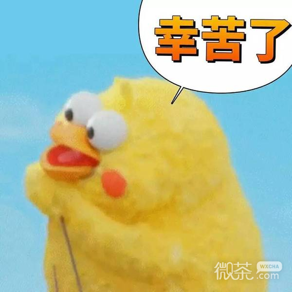 docomo鹦鹉兄弟表情包