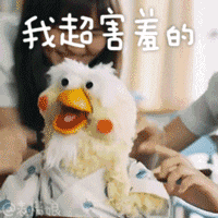 docomo鹦鹉兄弟表情包