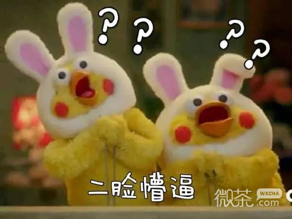 docomo鹦鹉兄弟表情包