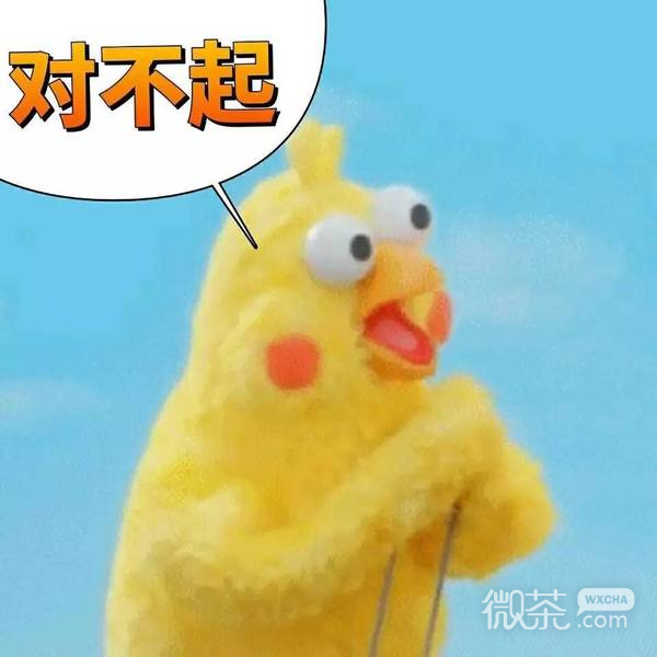 docomo鹦鹉兄弟表情包