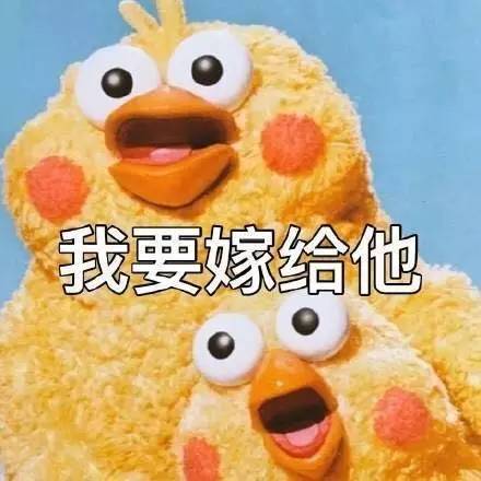 脆皮鸡表情包 黄金脆皮鸡