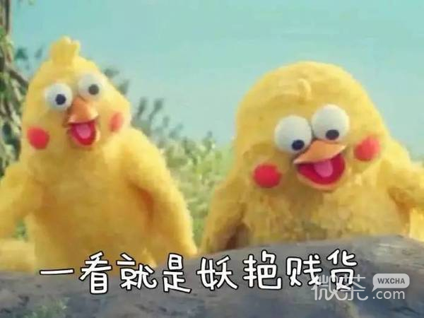 docomo鹦鹉兄弟表情包