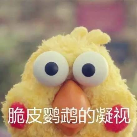 docomo鹦鹉兄弟表情包