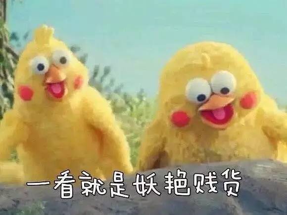 docomo鹦鹉兄弟表情包