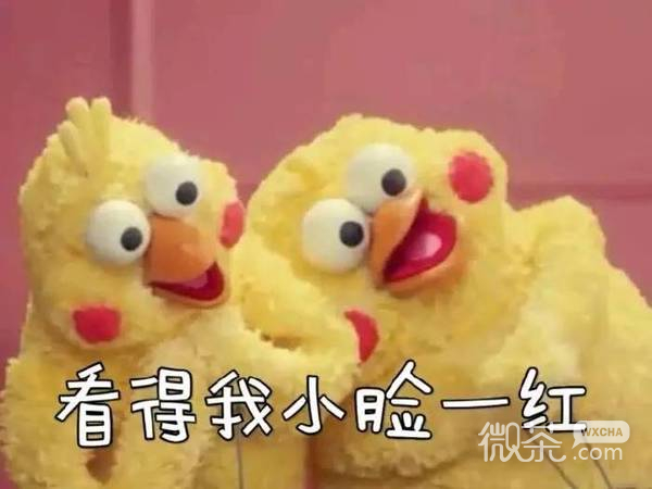 docomo鹦鹉兄弟表情包