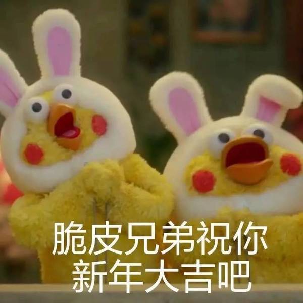 docomo鹦鹉兄弟表情包