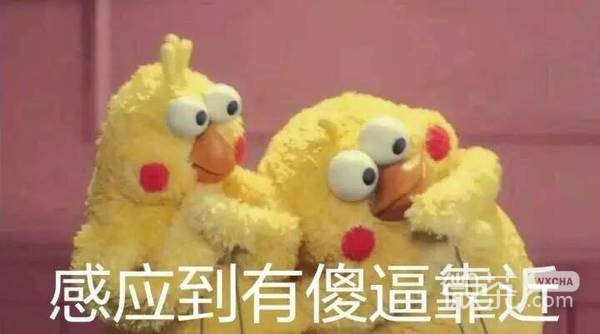 脆皮鸡表情包 黄金脆皮鸡