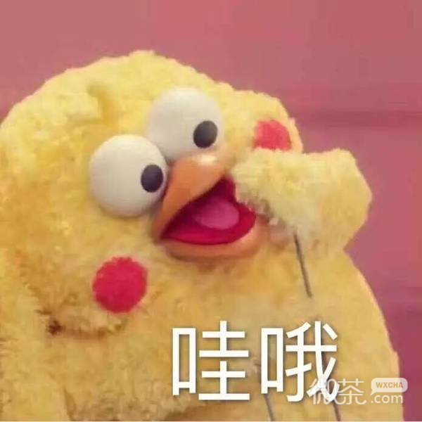 docomo鹦鹉兄弟表情包