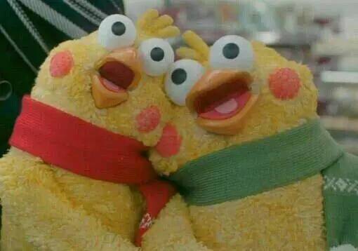 docomo鹦鹉兄弟表情包