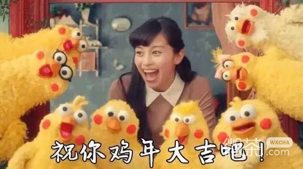 docomo鹦鹉兄弟表情包