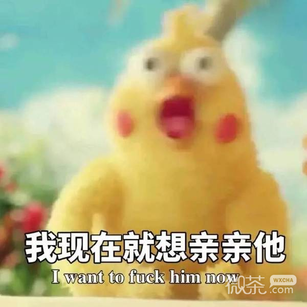 docomo鹦鹉兄弟表情包