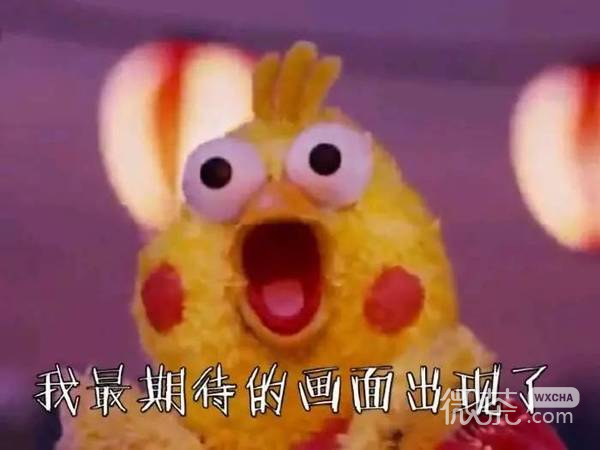 脆皮鸡表情包 黄金脆皮鸡