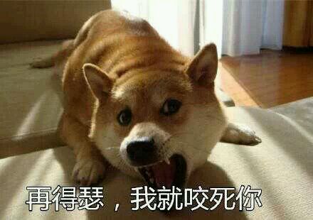 柴犬doge表情包