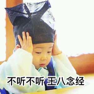 不听不听王八念经表情包