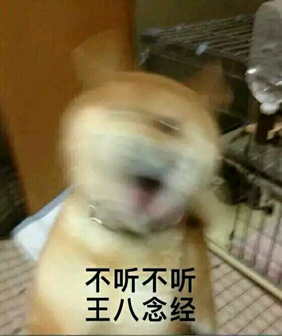 不听不听王八念经表情包