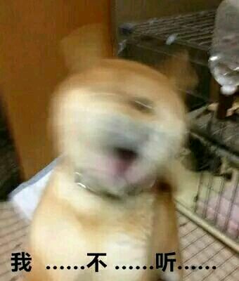 柴犬doge表情包