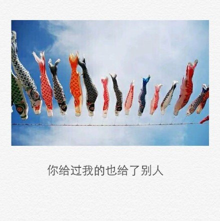 2017最新唯美伤感文字图片大全 风都无法将你圈养