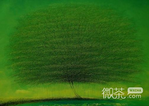 夏天，快来吧