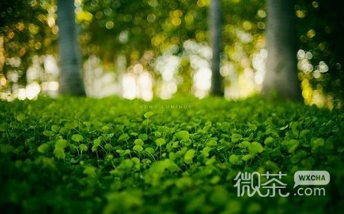 夏天，快来吧