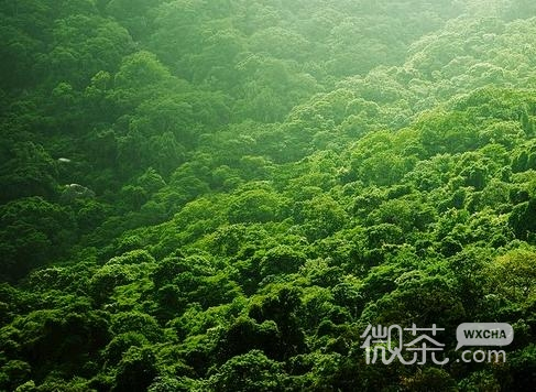 夏天，快来吧