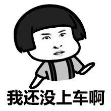 老司机表情包 呜呜呜，小火车开车了