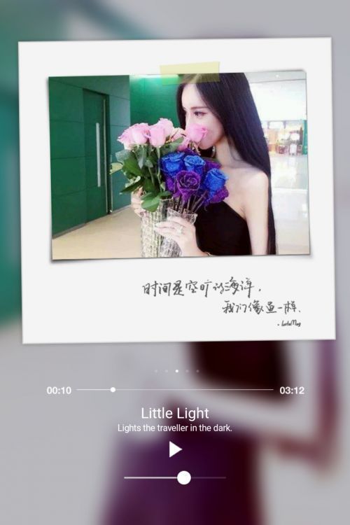 像森林里的猫 我只学会了放弃和逃避