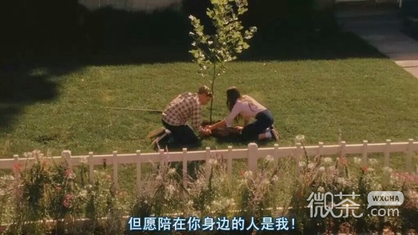 我就是忍不住老想他
