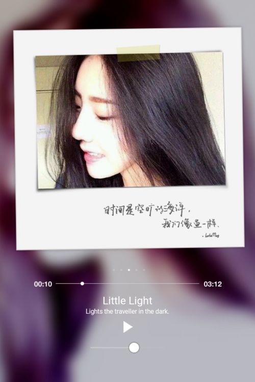 像森林里的猫 我只学会了放弃和逃避