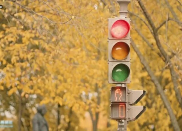 失去了不会伤心 得到了便是惊喜