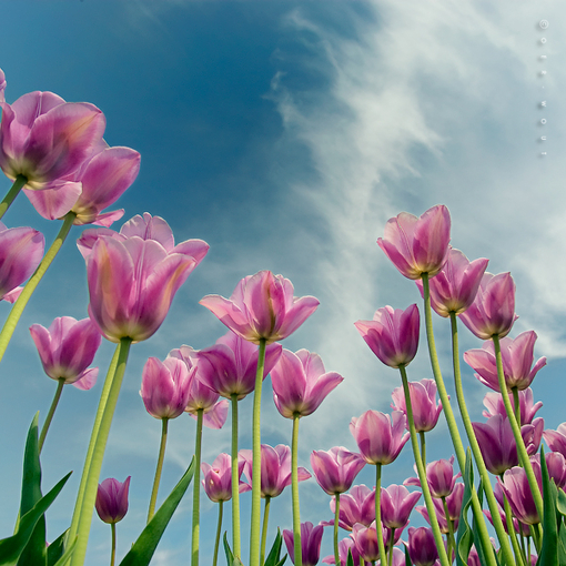 等失望攒够了，即使再爱，我也走