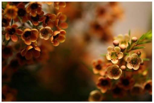 不亏待每一份热情 不讨好每一份冷漠