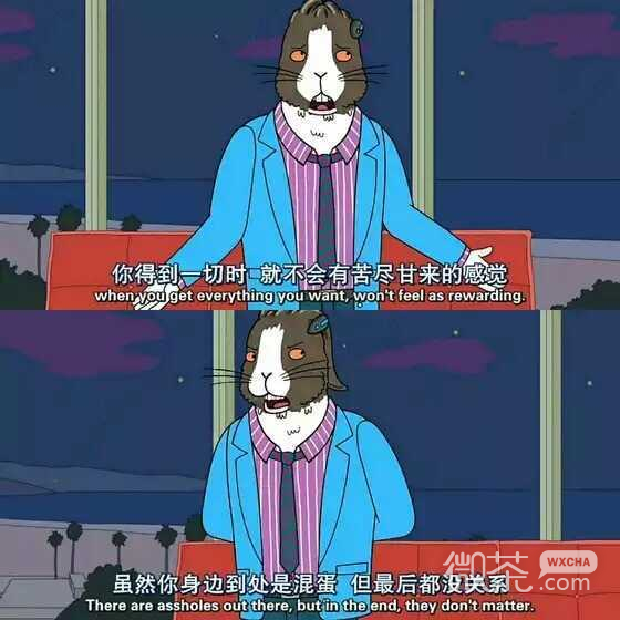 我就是忍不住老想他