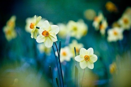 等失望攒够了，即使再爱，我也走