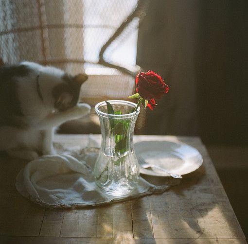 伤感意境个性空间欧美大图 给予一个深情的相拥,一切尽在不言中